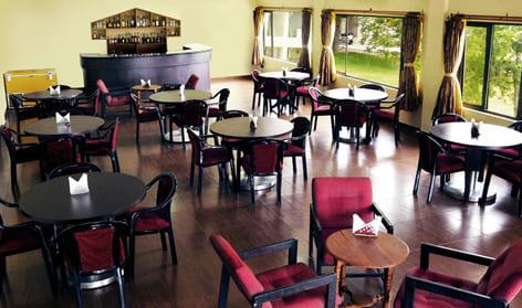 Dining Experience