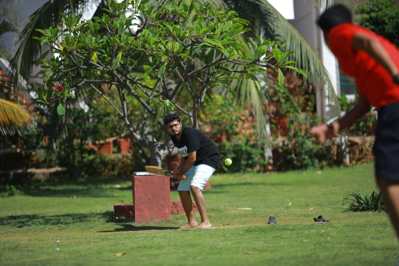 Cricket on the Lawn